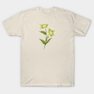 Daisy Plant 3 Botanical T-Shirt
